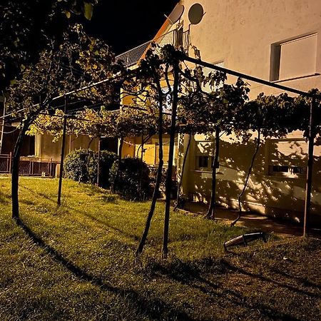 Entire Spacious Apartment With Free Parking ポドゴリツァ エクステリア 写真